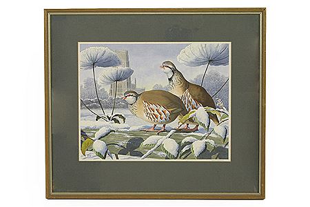 'SUFFOLK RED LEGS'