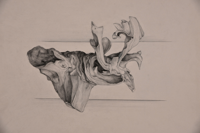 Compositions imaginaires et fantastiques (3)