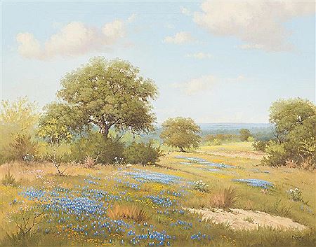 Bluebonnet landscape