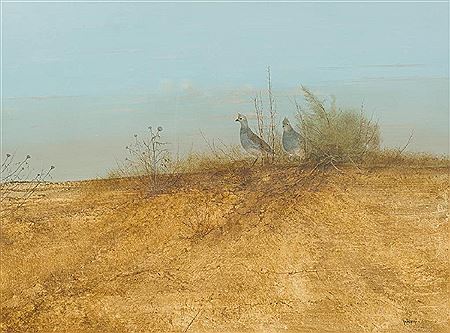 "Blue Quails"