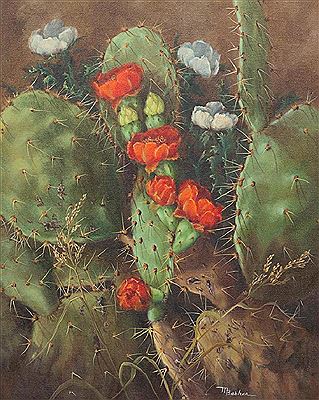 Blooming Cactus