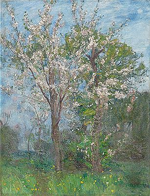 Baumblüte