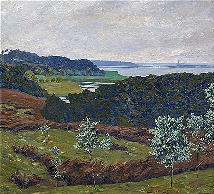 Wide Lake Landscape in Mecklenburg