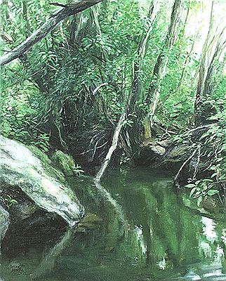 Rainforest