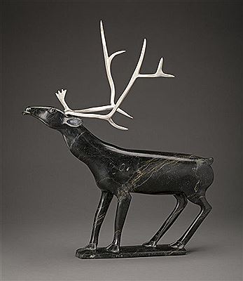 Caribou