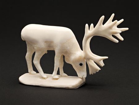 Grazing Caribou