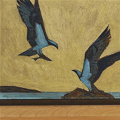 Ospreys