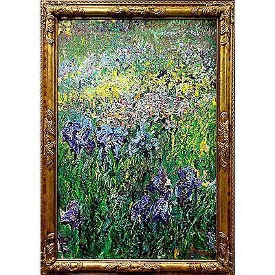 UNTITLED (WILD FLOWERS)