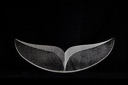 Whale Tail