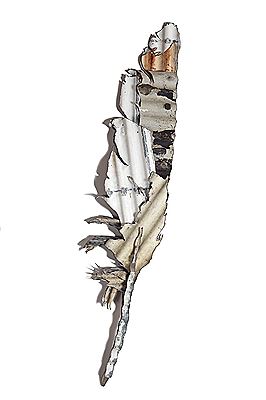 Feather