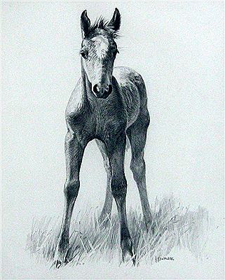 Foal by Helle Kowallek - Auction record, sale price, and art valuation. Compare with similar artists and explore comparable artworks.