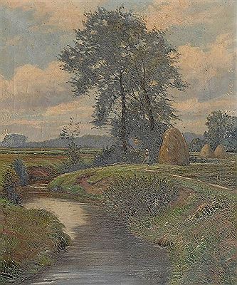 Erntelandschaft