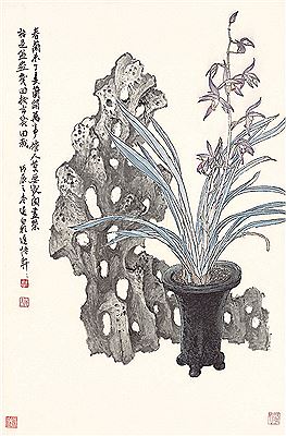 Orchid and Stone