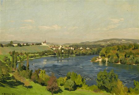Blick auf Rheinau
