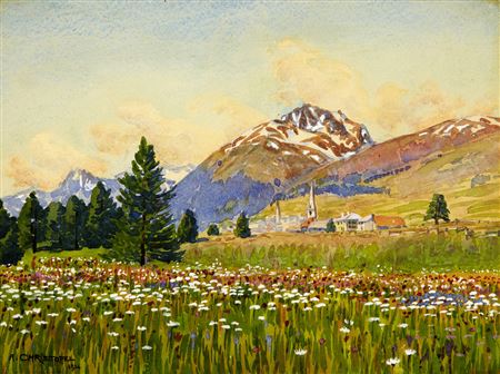 Blumenwiese - Blick auf Scanfs