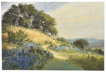 "Comanche Peak Vista"