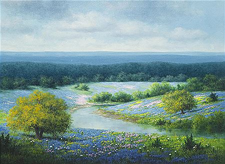 Field of Wildflowers