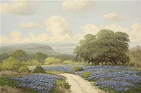 Bluebonnet Road
