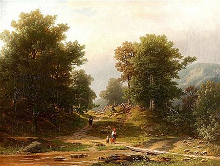 Weg durch einen Gebirgswald