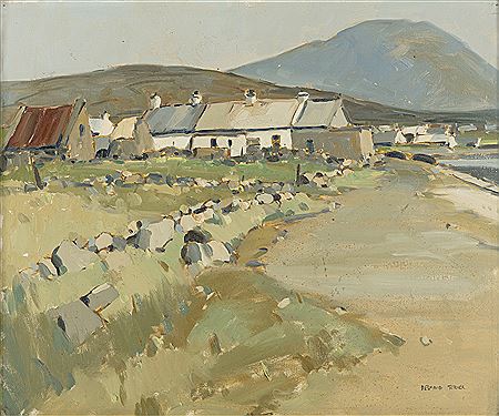 Cottages in a West of Ireland Lanscape