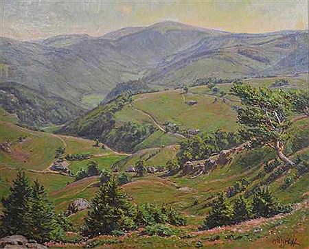"Am Schauinsland", mit weitem Ausblick auf das Tal