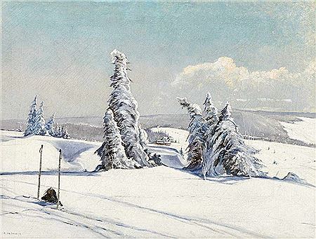 Ski break in the Black Forest