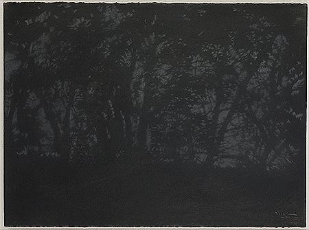 "Contraluz, Bosque", 2000