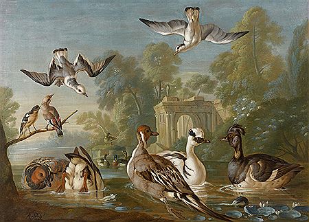 Ducks on a pond in a park