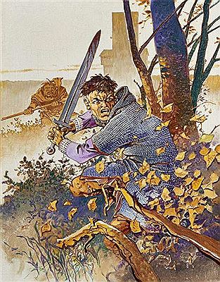 The Towers of Bois-Maury
