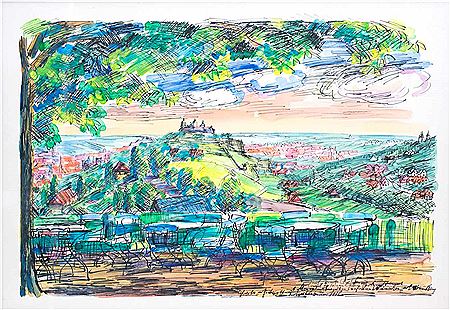 View at Wuerzburg