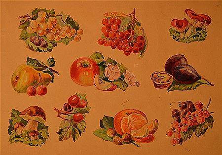 Fruits and berries by Tatiana Dmitrievna Holmsky - Auction record, sale price, and art valuation. Compare with similar artists and explore comparable artworks.