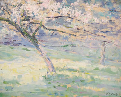 Verger en fleurs