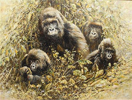 Gorilla Family