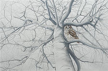 The Tawny Tree