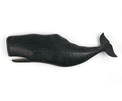 Sperm Whale (Half Model)