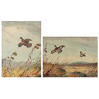Two landscape with grouse in flight