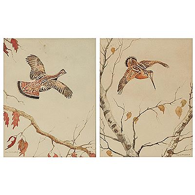 Two views of gamebirds in flight