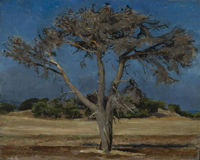 "Desert Tree", 1963