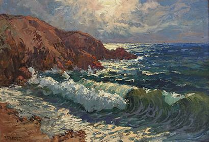 Côte rocheuse.
