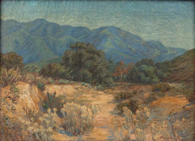 Desert Landscape