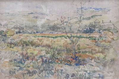 Summer Field