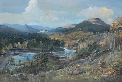 Glen Affaric with red deer