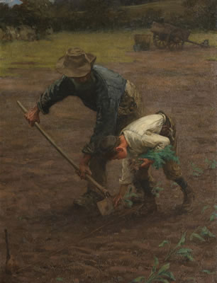 Putting in broccoli plants, Cornwall