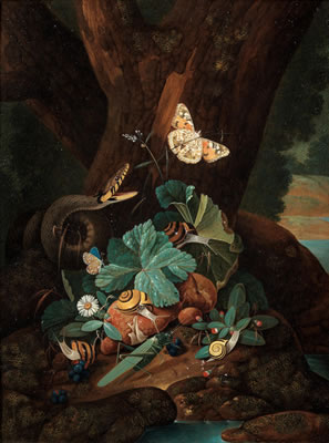 A forest floor still life with a snake, butterflies, snails and a grasshopper; and A forest floor still life with a lizard, butterflies and snails (2)