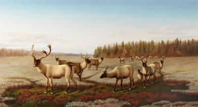 Caribou