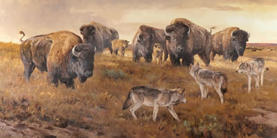 Ken Carlson - artist photo