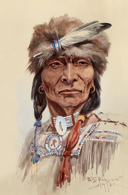Cree from the North
