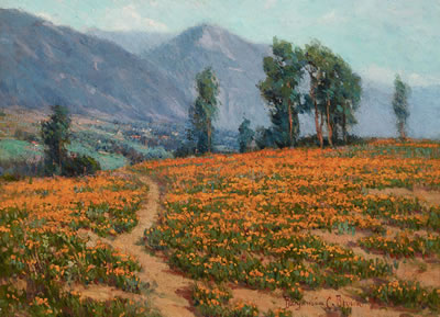 Poppy Fields Near Pasadena