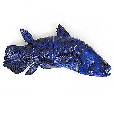 “Blå fisk”/“Coelacanth”.