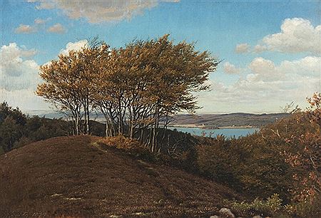 Hilly heather landscape.
